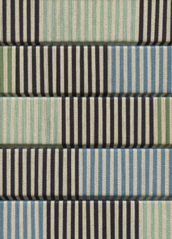 Pelco Blue I  Pictufy