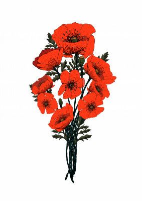 Poppy Bouquet