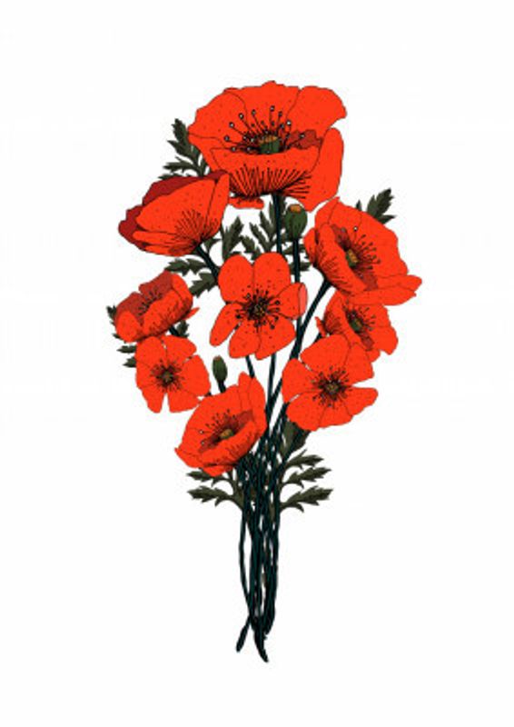Poppy Bouquet