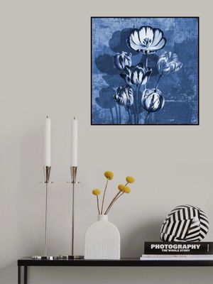 Tulips   Shades of Blue