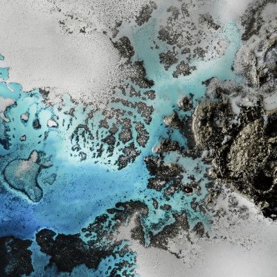 Most Popular - Maritime Majesty - Turquoise Coral Vibes