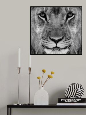 My, What big Thighs You Have !