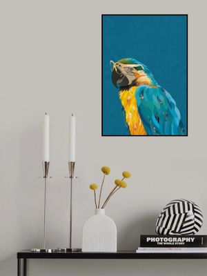 Vibrant macaw wearing glasses