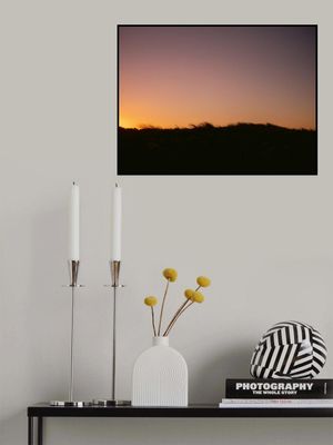 Dune Grass Sunset Horizontal