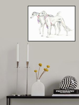 Saluki Dogs in Delicate Collars