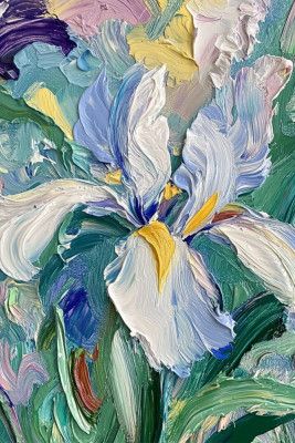 Iris in Bloom