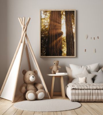 Redwood Forest Sunbeams V