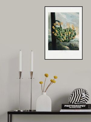 The Aloe from The Temple of Flora (1807)