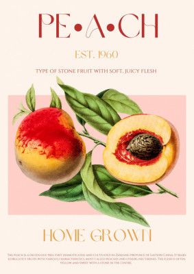 Vintage Style Peach Illustration