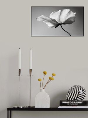 Delicate Petal Dance