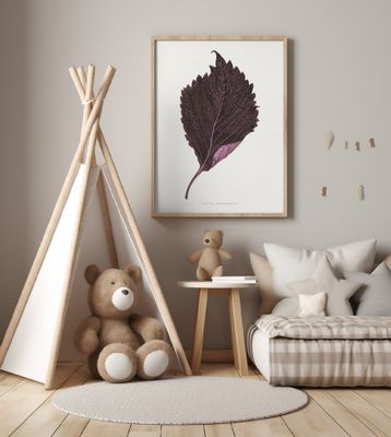 Pink Perilla Nankinensis Leaf Illustration