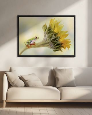 Red Eyed Tree Frog on a Sunflower