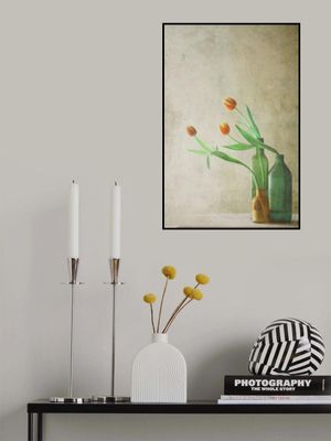 Three Tulips