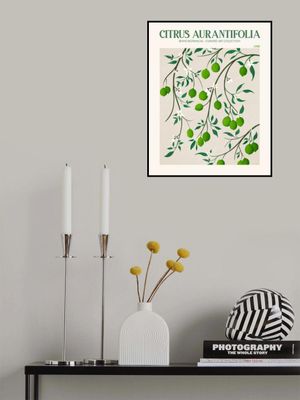 Botanical Lime Bliss