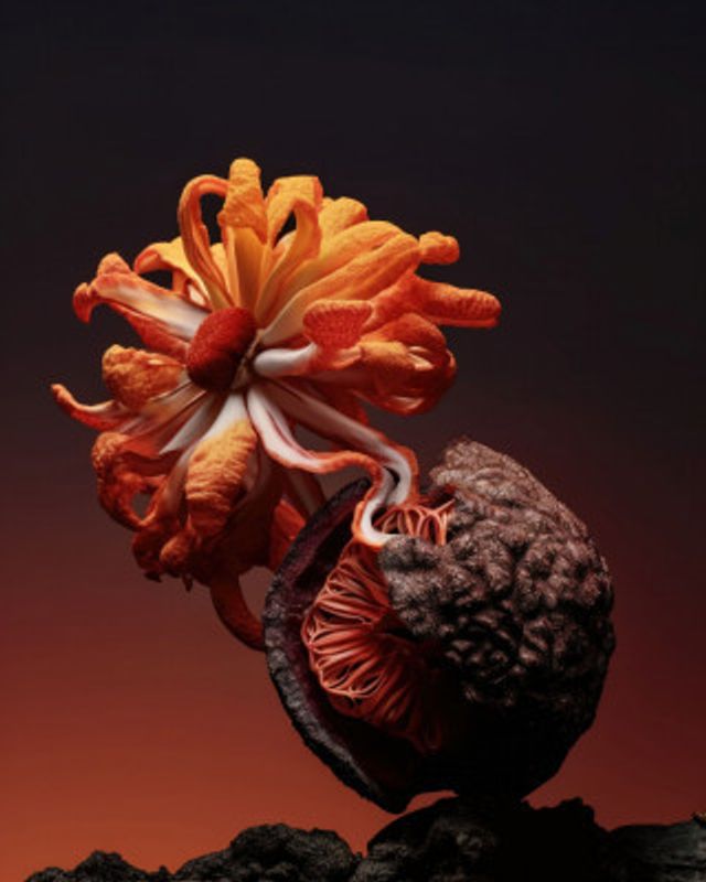 Still Life Flowers No4