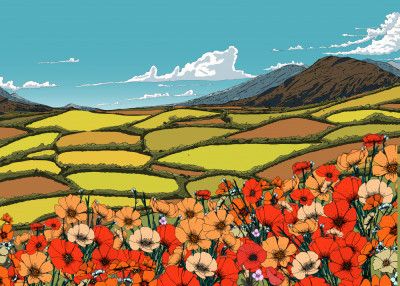 Beautiful Summer Landscape