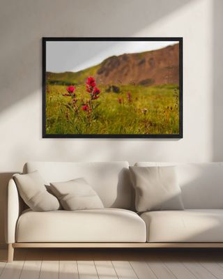 Silver Plume Paintbrush II