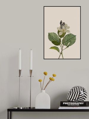 Botanical vintage cameraman