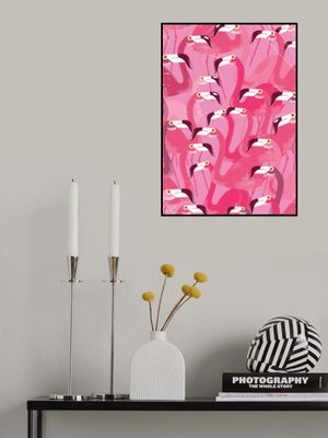 Flock of Flamingos