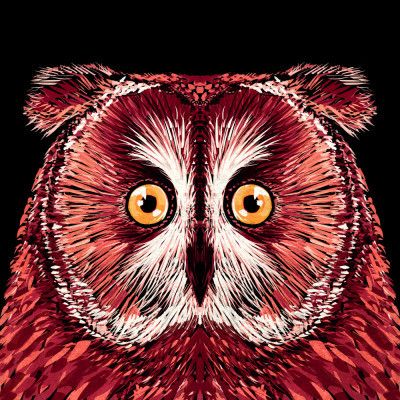 Bird Series   Owl 4