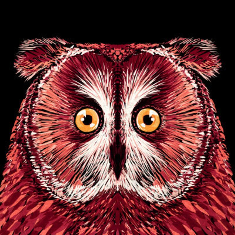 Bird Series   Owl 4