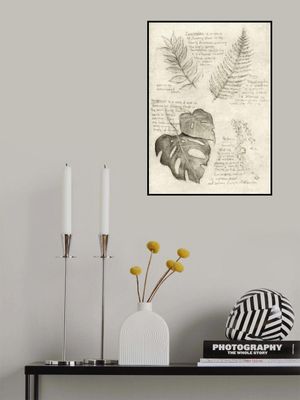 Pencil Sketches Of Various Plant Leaves