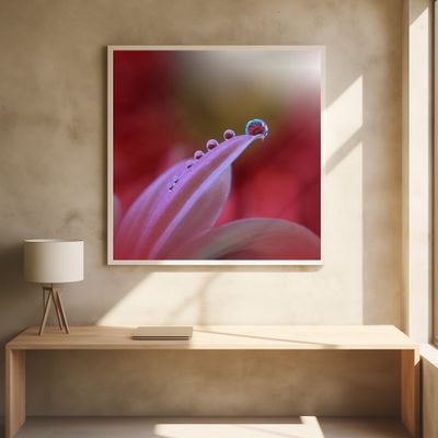 Behind Closed Eyes...