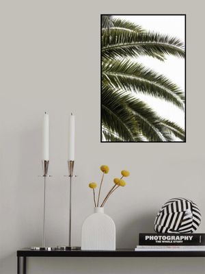 Tropical Green Palms