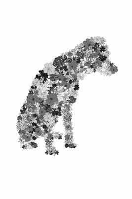 Flower Dog01 24x36