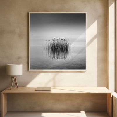 Black and White Silence