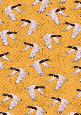 Duck Pattern
