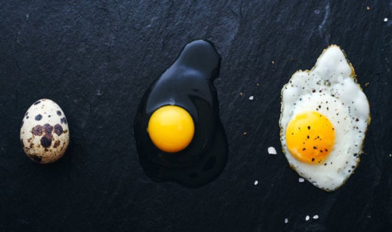 Egg Evolution Journey