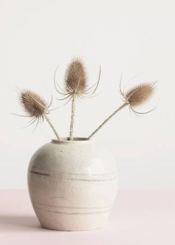 Dried flowers in vase