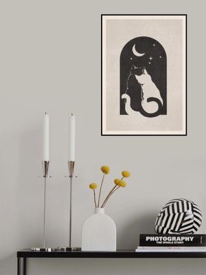 Celestial Companions