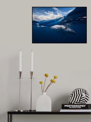 Humpback whale and the sky