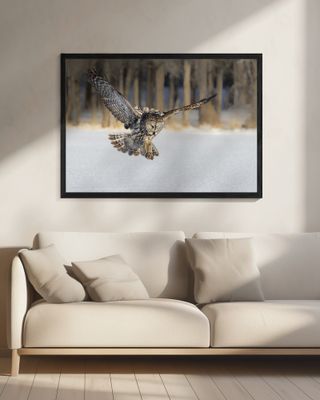 The Morning Catching