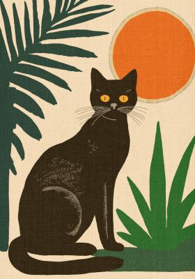 Midday Black Cat with Yellow Eyes