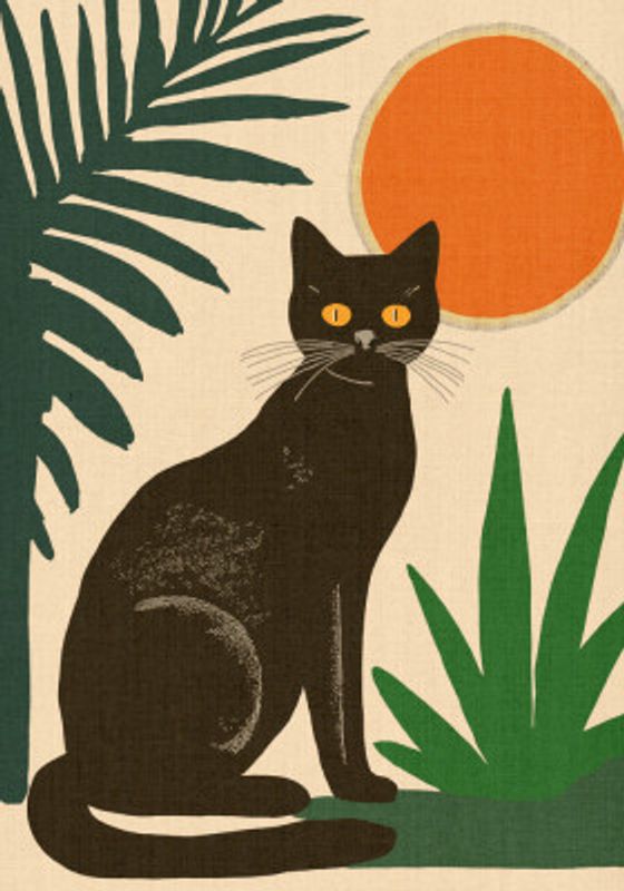 Midday Black Cat with Yellow Eyes