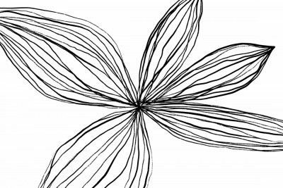 Minimalist Black and White Petals
