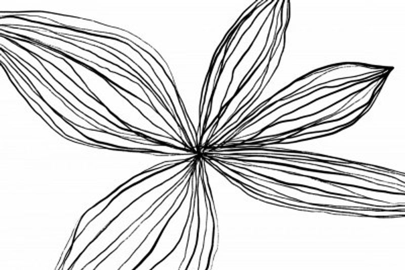 Minimalist Black and White Petals
