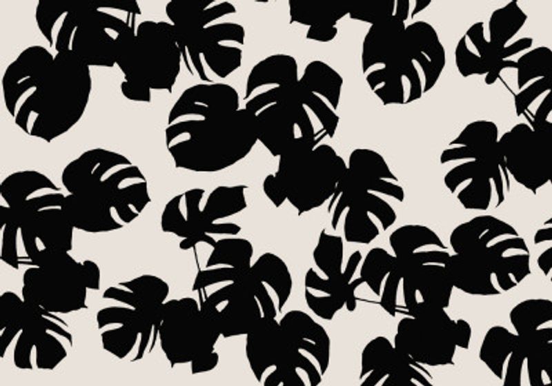 Monstera Leaves Black