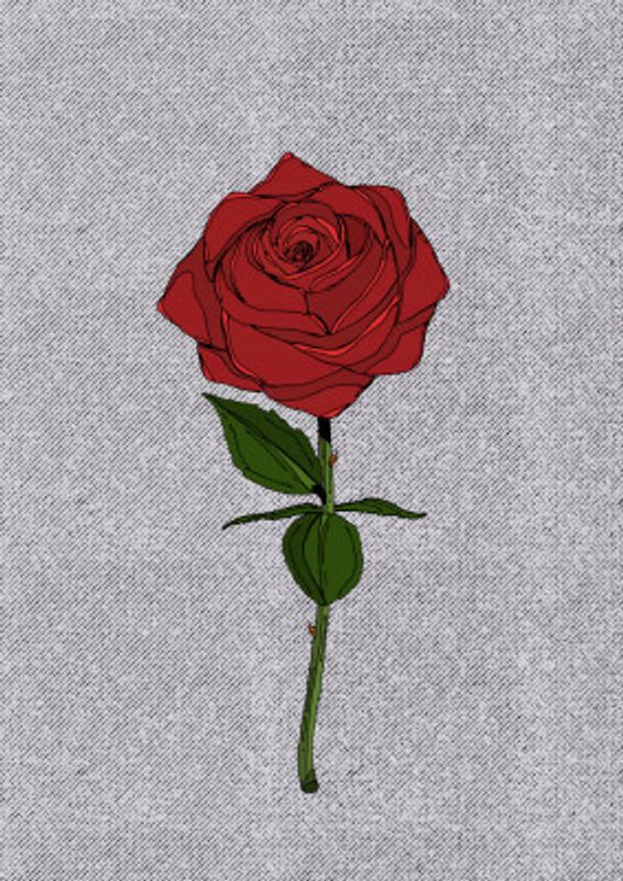 Red Rose
