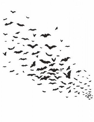 Bats In Flight
