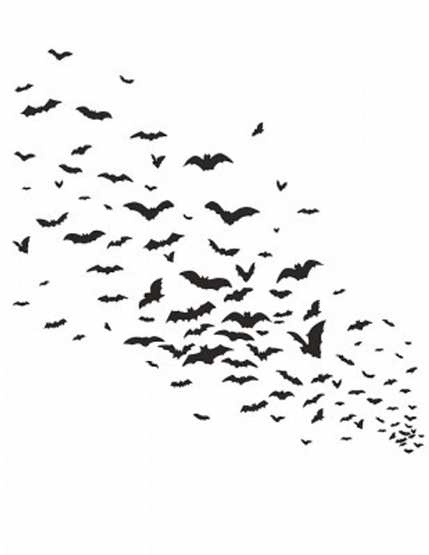 Bats In Flight