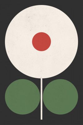 Graphic Flower Geometric 19