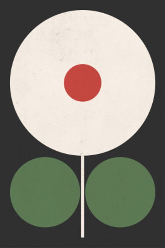 Graphic Flower Geometric 19