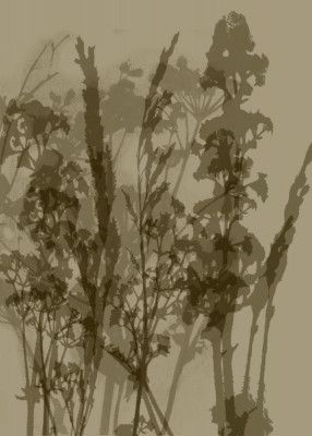 Misty Meadow. Abstract Botanical Art No.8