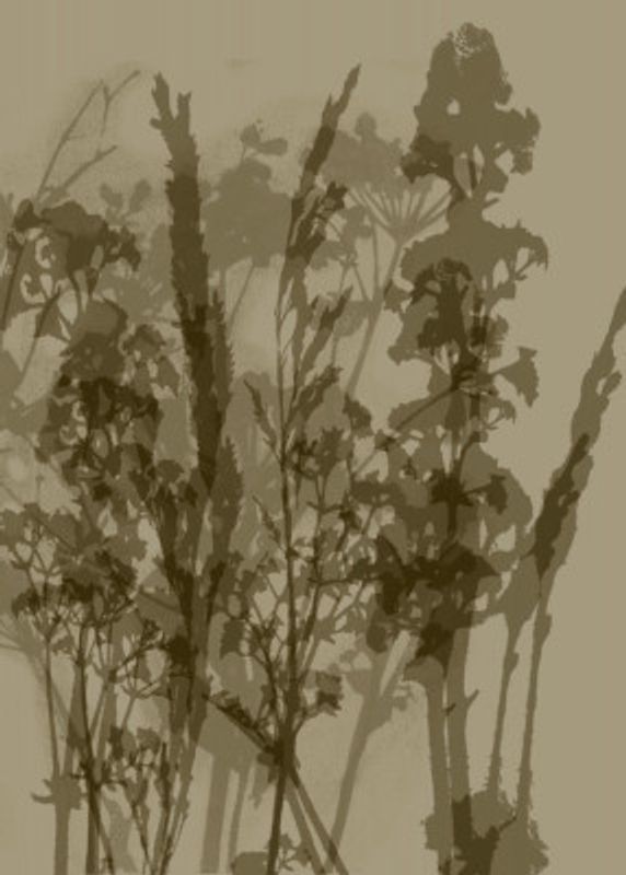 Misty Meadow. Abstract Botanical Art No.8