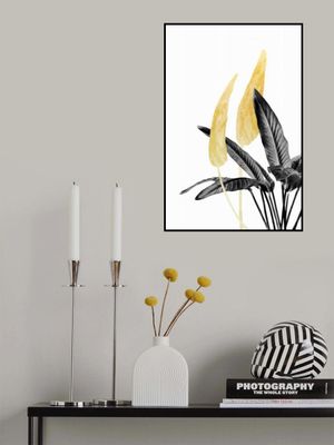 Bird of Paradise Plant Black, White and Gold 01