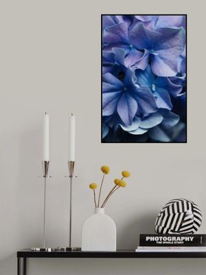 Vibrant Purple Hydrangea Flowers